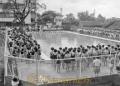 春竹小学校のプール開き＝熊本市