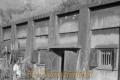 米軍爆撃の跡が残る旧日本軍の燃料倉庫＝菊池市の花房台地
