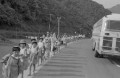 交通安全　赤い帽子で集団登校する子どもたち＝宇土郡三角町