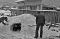 大雪　”かまくら”作り＝阿蘇郡一の宮町