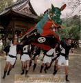 小川阿蘇神社秋の大祭　若者たちに担がれ、威勢よく境内を駆け巡る亀蛇