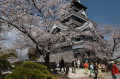 満開の桜の下を歩く観光客＝２８日午前、熊本城