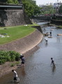 熊本城の長塀沿いの坪井川を清掃するボランティアのメンバーら＝