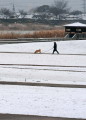 雪景色となった水前寺江津湖公園＝熊本市