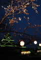 熊本城夜間開園始まる　雨の夜桜＝熊本市