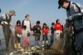 岱明町産業ふれあいまつり　たくさん獲れた魚を見つめる小学生ら＝玉名郡岱明