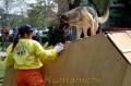 九州救助犬協会発会式　倒壊した建物に見立てた小屋の被災者を発見する救助犬