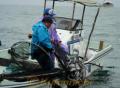 「やつしろ舟出浮き」始まる。地元漁師が「ツボ網」を使ってコノシロやスズキ