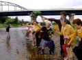 ６・２６大水害供養　白川に花を投げて供養する遺族ら＝熊本市の子飼橋下流