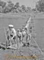 白川での水防訓練　渡河橋を渡る小学生ら＝熊本市迎町の泰平橋上流