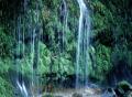 水・緑・清水滝＝南阿蘇村。南阿蘇には湧水群が点在しているが、この清水滝に