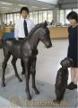河浦町の町制５０周年を記念して、北海道浦河町から贈られた子馬のブロンズ像