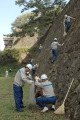 熊本城を清掃する九電工の社員ら＝熊本市