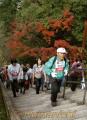 アタック・ザ日本一宣言タイムレース　石段登りタイムレースに挑戦する参加者