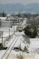 この冬初めての積雪で一面の銀世界となった阿蘇谷＝阿蘇郡阿蘇町