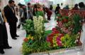 県特産の花をアレンジした展示が並ぶ「くまもと早春花フェスタ２００５」