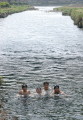 強い日差しの中、健軍川で泳ぐ子どもたち＝熊本市の上江津湖
