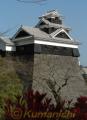 そびえ立つ「飯田丸五階櫓」　一般公開始まる＝熊本市の熊本城