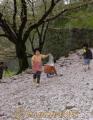桜の“じゅうたん”の上で遊ぶ子どもたち＝熊本市の熊本城