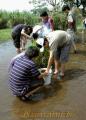 砂や泥をふるいにかけ、ヘドロ除去に協力する高校生たち＝熊本市