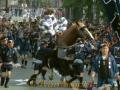 藤崎八旛宮秋季例大祭　掛け声をかけながら馬を追う勢子たち＝熊本市