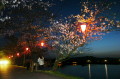 春宵（しゅんしょう）　夕暮れ時の桜＝宇土市の立岡自然公園