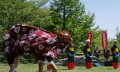 長寿ケ丘観音祭で伝統芸能の虎舞を披露する地元小学生たち＝阿蘇