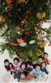 天草産の温州ミカンやバンペイユなどが飾り付けられたクリスマスツリー