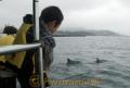 海面から背中を出したイルカを見つめる園児たち＝天草市
