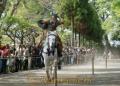 約１８０メートルの馬場を馬で駆け抜け、的を狙う射手ら＝熊本市水前寺公園