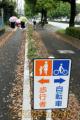 自転車道などが整備された熊本市東町地区の市道