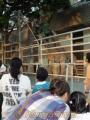 熊本市動植物園で「ドリームナイト・アット・ザ・ズー」