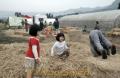 稲わらを敷いた会場で遊ぶ子どもたち・こづみｃａｆｅ＝南阿蘇村