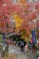 瑞泉寺の紅葉まつり＝熊本市植木町