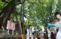 観光ボランティア講座で「将軍木」を見学する受講生ら＝菊池市
