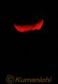 赤く染まる月　。遠方の雲の向こうに沈む月