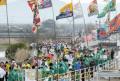 大漁旗が飾られたコースを走る選手　熊本城マラソン＝熊本市