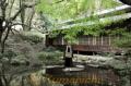 四季折々の表情を見せる成道寺＝熊本市