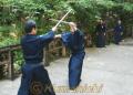 武蔵の命日に演武奉納＝熊本市西区