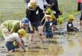 田植え体験会